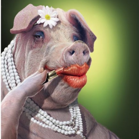 Meet your Posher, S - Picture 1 of 1